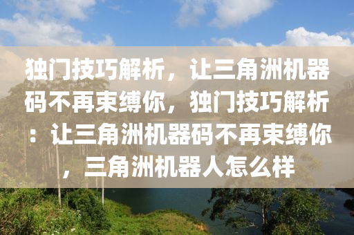 独门技巧解析，让三角洲机器码不再束缚你，独门技巧解析：让三角洲机器码不再束缚你，三角洲机器人怎么样