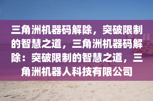 三角洲机器码解除，突破限制的智慧之道，三角洲机器码解除：突破限制的智慧之道，三角洲机器人科技有限公司