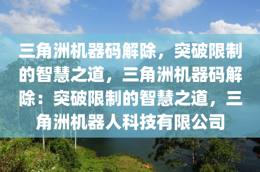 三角洲机器码解除，突破限制的智慧之道，三角洲机器码解除：突破限制的智慧之道，三角洲机器人科技有限公司