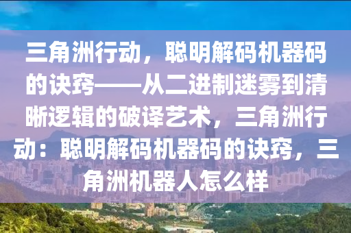三角洲行动，聪明解码机器码的诀窍——从二进制迷雾到清晰逻辑的破译艺术，三角洲行动：聪明解码机器码的诀窍，三角洲机器人怎么样