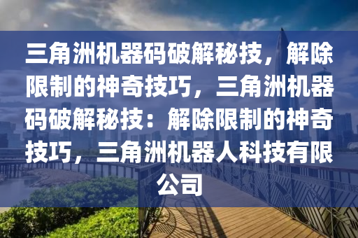 三角洲机器码破解秘技，解除限制的神奇技巧，三角洲机器码破解秘技：解除限制的神奇技巧，三角洲机器人科技有限公司