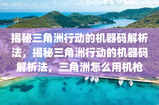 揭秘三角洲行动的机器码解析法，揭秘三角洲行动的机器码解析法，三角洲怎么用机枪