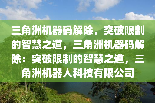 三角洲机器码解除，突破限制的智慧之道，三角洲机器码解除：突破限制的智慧之道，三角洲机器人科技有限公司