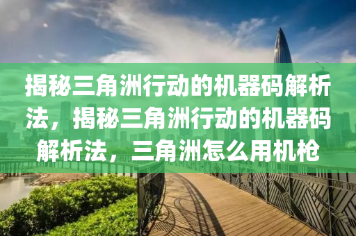 揭秘三角洲行动的机器码解析法，揭秘三角洲行动的机器码解析法，三角洲怎么用机枪