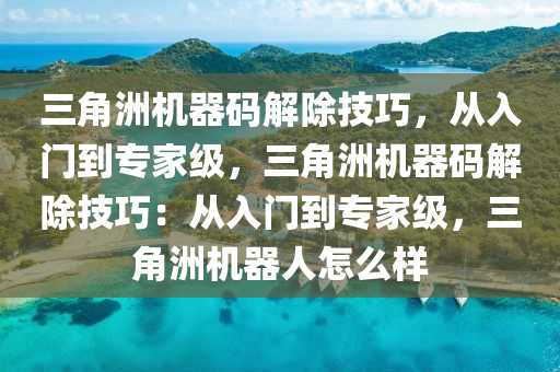 三角洲机器码解除技巧，从入门到专家级，三角洲机器码解除技巧：从入门到专家级，三角洲机器人怎么样