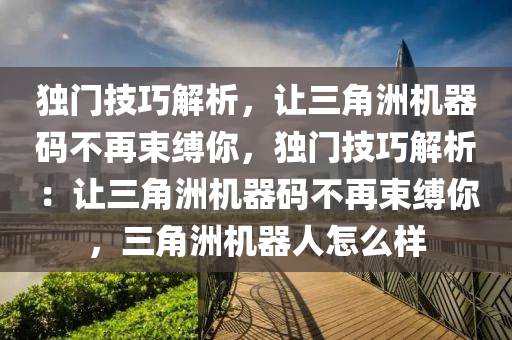 独门技巧解析，让三角洲机器码不再束缚你，独门技巧解析：让三角洲机器码不再束缚你，三角洲机器人怎么样