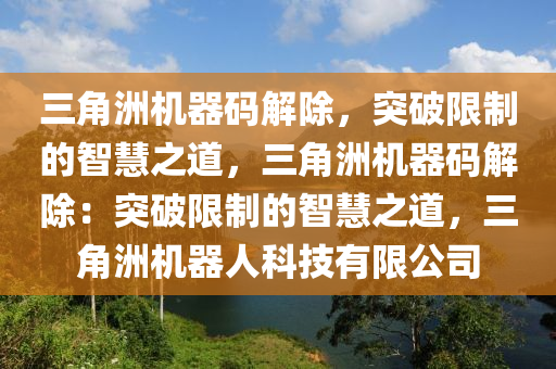 三角洲机器码解除，突破限制的智慧之道，三角洲机器码解除：突破限制的智慧之道，三角洲机器人科技有限公司