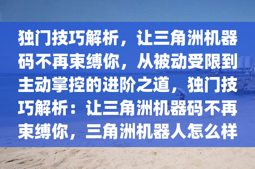 独门技巧解析，让三角洲机器码不再束缚你，从被动受限到主动掌控的进阶之道，独门技巧解析：让三角洲机器码不再束缚你，三角洲机器人怎么样