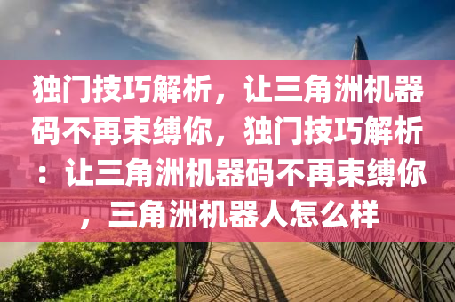 独门技巧解析，让三角洲机器码不再束缚你，独门技巧解析：让三角洲机器码不再束缚你，三角洲机器人怎么样